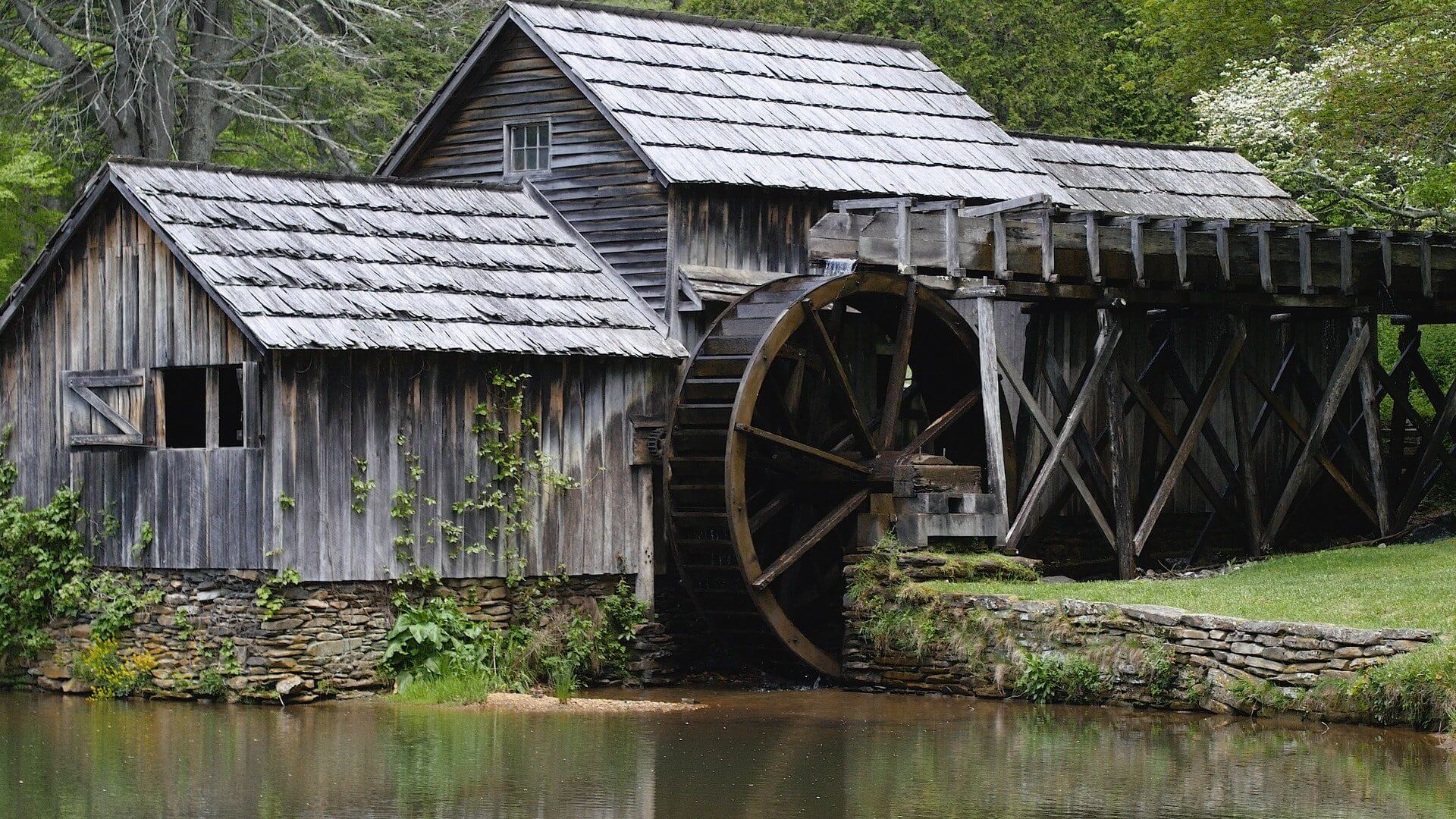 The Financial Water Wheel | Peterson Financial Group